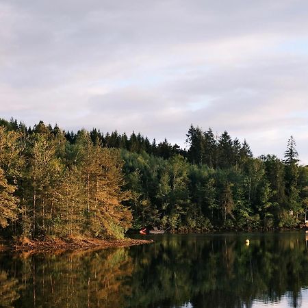 Lodge Avec Spa Privatif - Foret Et Lac Liginiac Kültér fotó