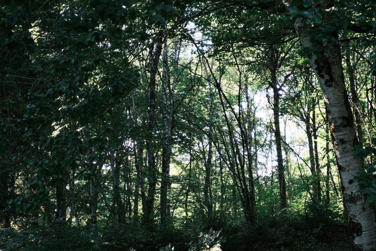 Lodge Avec Spa Privatif - Foret Et Lac Liginiac Kültér fotó