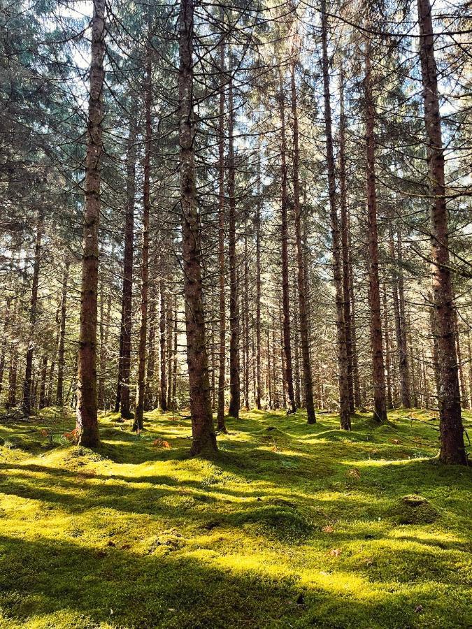 Lodge Avec Spa Privatif - Foret Et Lac Liginiac Kültér fotó