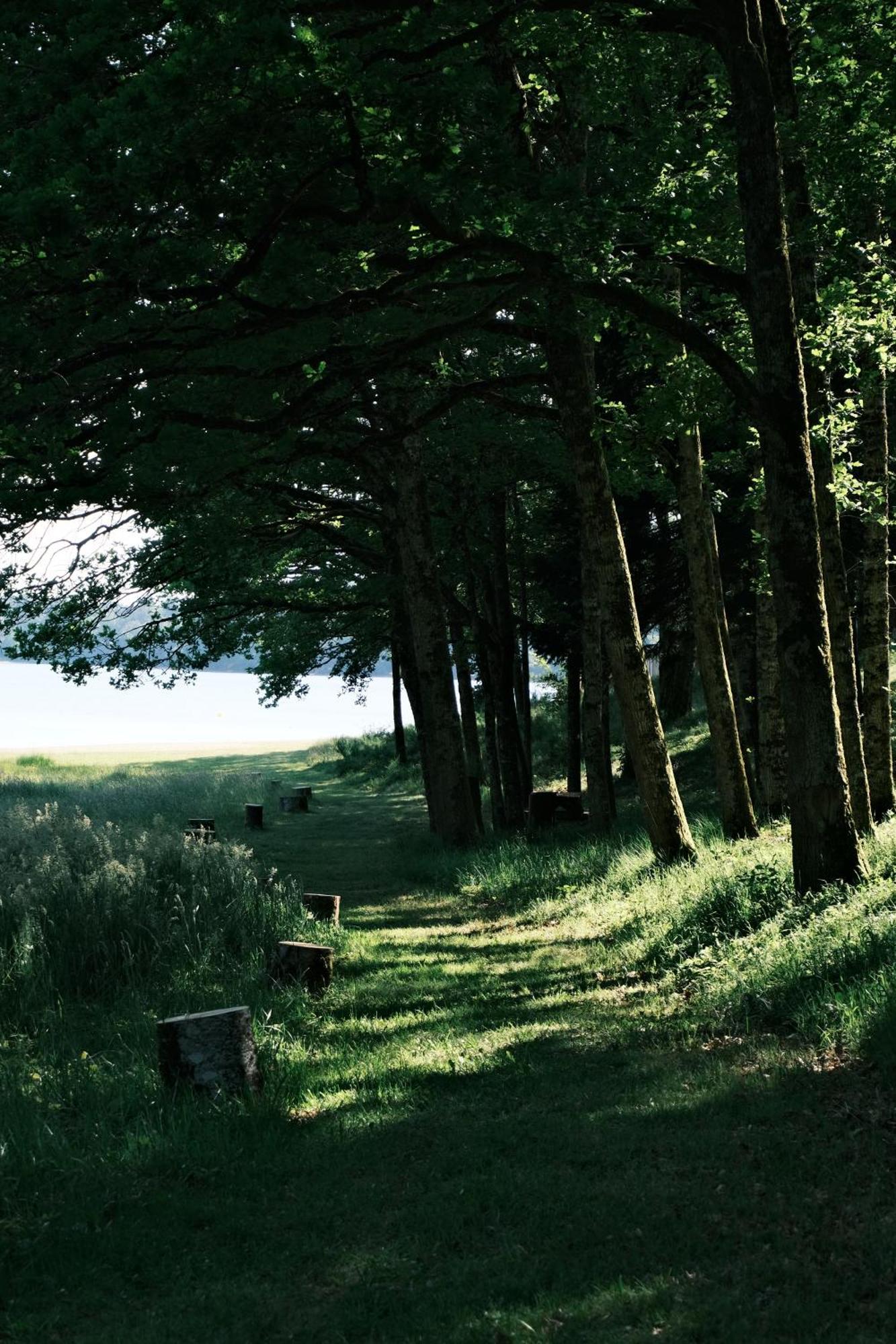 Lodge Avec Spa Privatif - Foret Et Lac Liginiac Kültér fotó