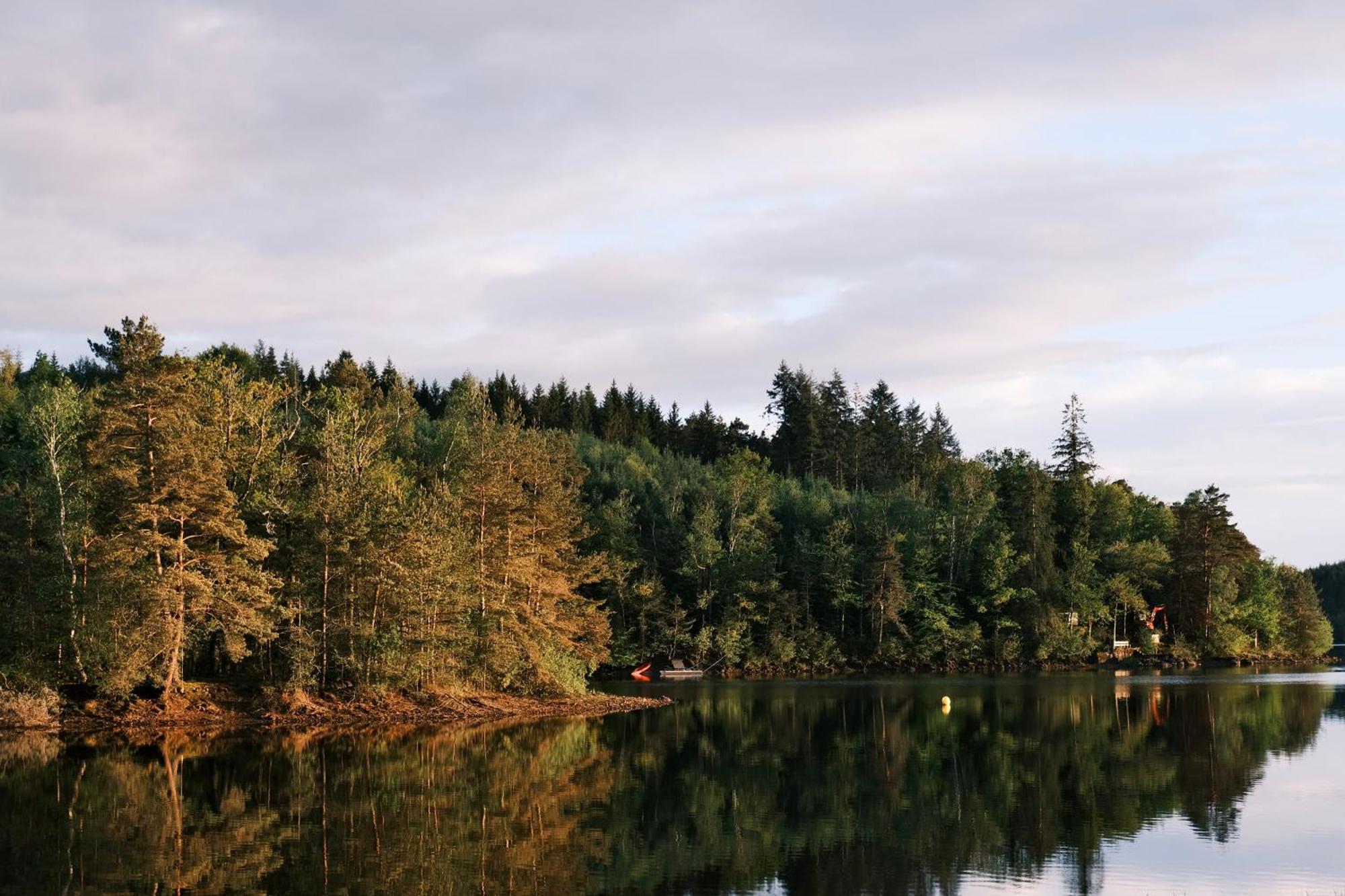 Lodge Avec Spa Privatif - Foret Et Lac Liginiac Kültér fotó